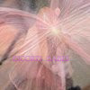 TS Princess Candy - Image 2