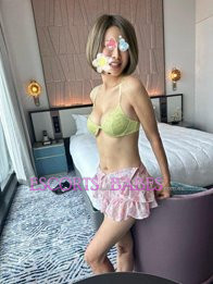 Image of 0cb90dc1-54a5-463f-b233-d3223b8460fb