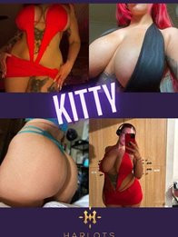 Image of Kitty 0480 094 199