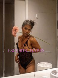Image of 12e9556f-78ac-401d-81a6-ae6974f447b7