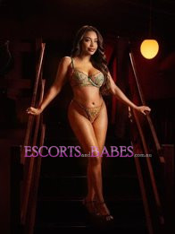 Image of 16911a58-11cd-4389-85bd-ac586e8780c8