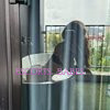 Lara Provasi - Image 8