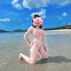 PamelaLink - Image 2