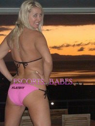 Image of 2719290d-eaff-451c-af56-fab9eb5844ac