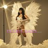 CD Trans Linda26 - Image 2