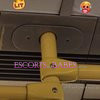 Dick Engineer - Image 15