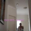 Aussie Ladie - Image 10