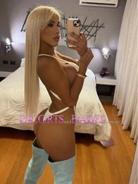 Image of 2bcc5cf6-d329-41d9-a18e-1d35d492d321