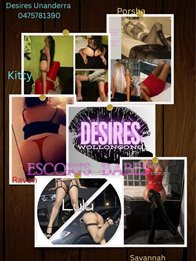 Image of 2c8be583-338c-48c2-b2e5-3f631027d0d6
