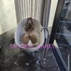 Sex Goddes - Image 4