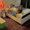 LUCY - Image 5