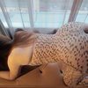 DUO UNI GIRLS 3SOME PRIVATE - Image 4