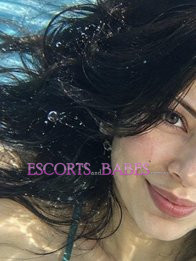 Image of 43fb0942-2d3d-4e6f-a15d-3f8a2da57a12