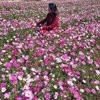 NhiLuong - Image 7