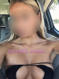 Image of 44a2afe4-4082-4645-9449-3b22f34bb639