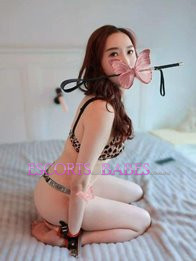 Image of 46dbd531-9202-447d-83a1-a298a7f27e3c