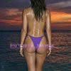 Phoenix Rose - Image 14