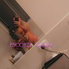 Queen rose - Image 25