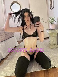 Image of 4dadd1a8-f90f-4c88-97e9-a3ccc5ecc25f
