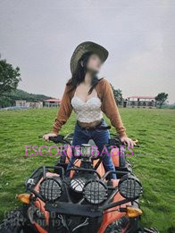 Image of 536f9e79-ae0b-4154-ba1a-8f7fb68766d0