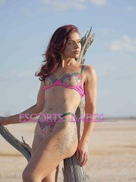 Image of 53b821cc-53cf-46d7-86d1-e4b1c9b405da