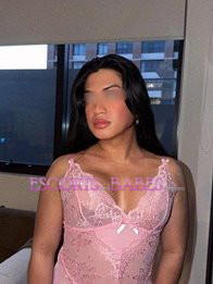 Image of 53fb9b71-7eeb-4cd4-bc88-af0f4aaff576