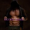 Marty Fine - Image 1