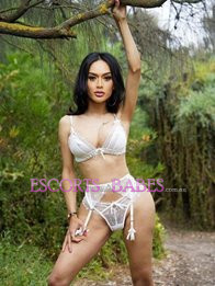Image of 57a5d681-f287-483b-8dc3-2ebdd8427e15