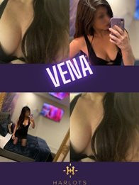 Image of Vena 0480 094 199