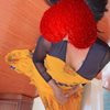 Aashvi - Image 6