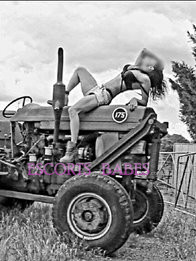 Image of 609e1cd2-2939-4f40-bb6f-7b10fe51c7cf