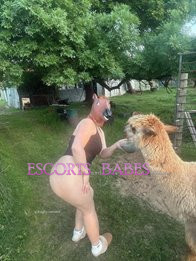 Image of 616d3a1b-0bff-461a-92f4-cc14eadb09a5
