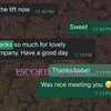 TS Bee - Image 20