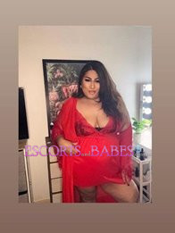 Image of 65aed9a5-4c0b-419e-b6fb-3170060652a5