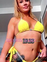 Image of 665a17c2-74d2-49c4-918f-5ca11b159a0c