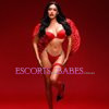 TS Wildest Fantasy - Image 1