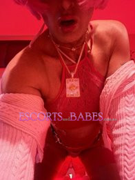 Image of 697baadf-8402-4eb9-9ccb-5e6ac9145bd9