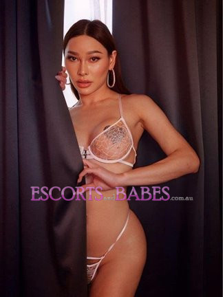 Image of HOT TRANS BELLA 88
