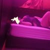 BUNNY - Image 3