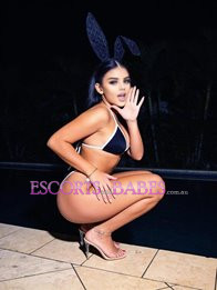 Image of 6c5c1926-2cc2-430e-a7a5-f784df717b47