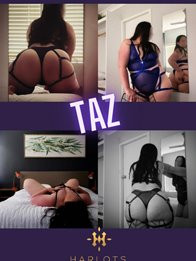 Image of Taz 0480 094 189