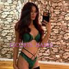 Viet Trans - Image 21