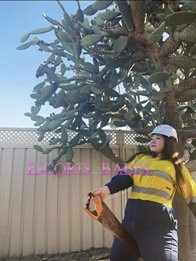 Image of 6e242f35-ae97-4839-95da-617602da7fb7