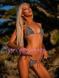 Image of 77a52ebd-9a23-495c-a35e-cc9e66db90c6