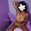 Lilly Rose - Image 5