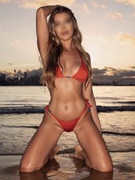Image of 79ec64d7-86ae-4ef9-ac4c-35ad9123c569