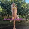 transvixen - Image 7