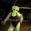 Secret Garden - Image 24