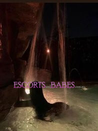 Image of 7dd18db8-f903-442b-86ff-191bbe927139