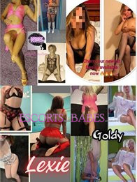 Image of 7e94d4a0-9b7b-4b11-85cb-ed57ca64daf6